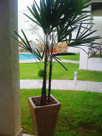 Vaso Concreto com Rafia